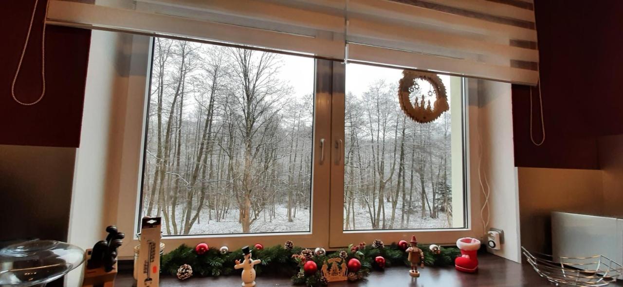 Ferienwohnung im grünen Muldental Langenbach  Exterior foto